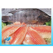 FROZEN TILAPIA FILLET IQF IVP